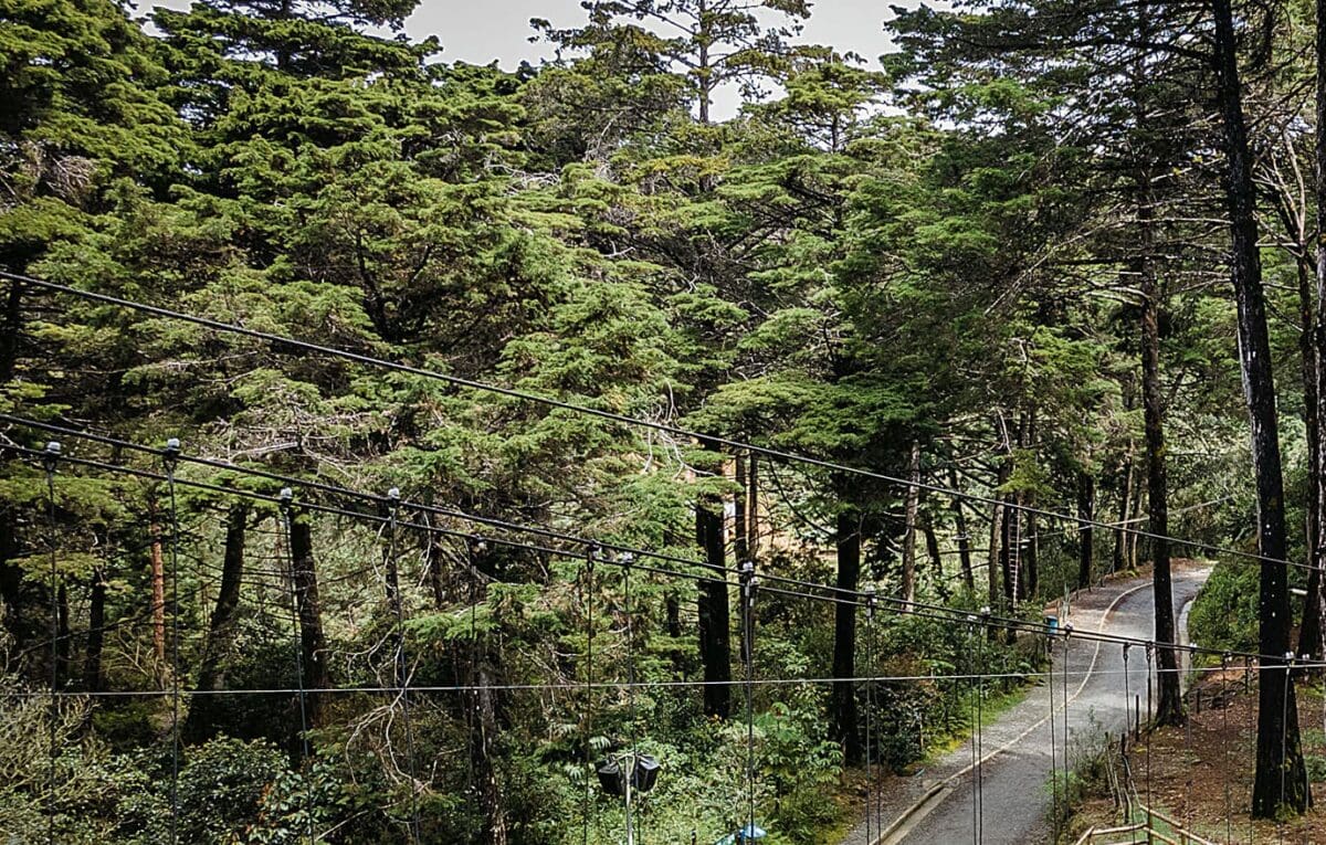 8 Lugares Increíbles para Visitar en Auto desde Medellín - Imagen 4 del artículo