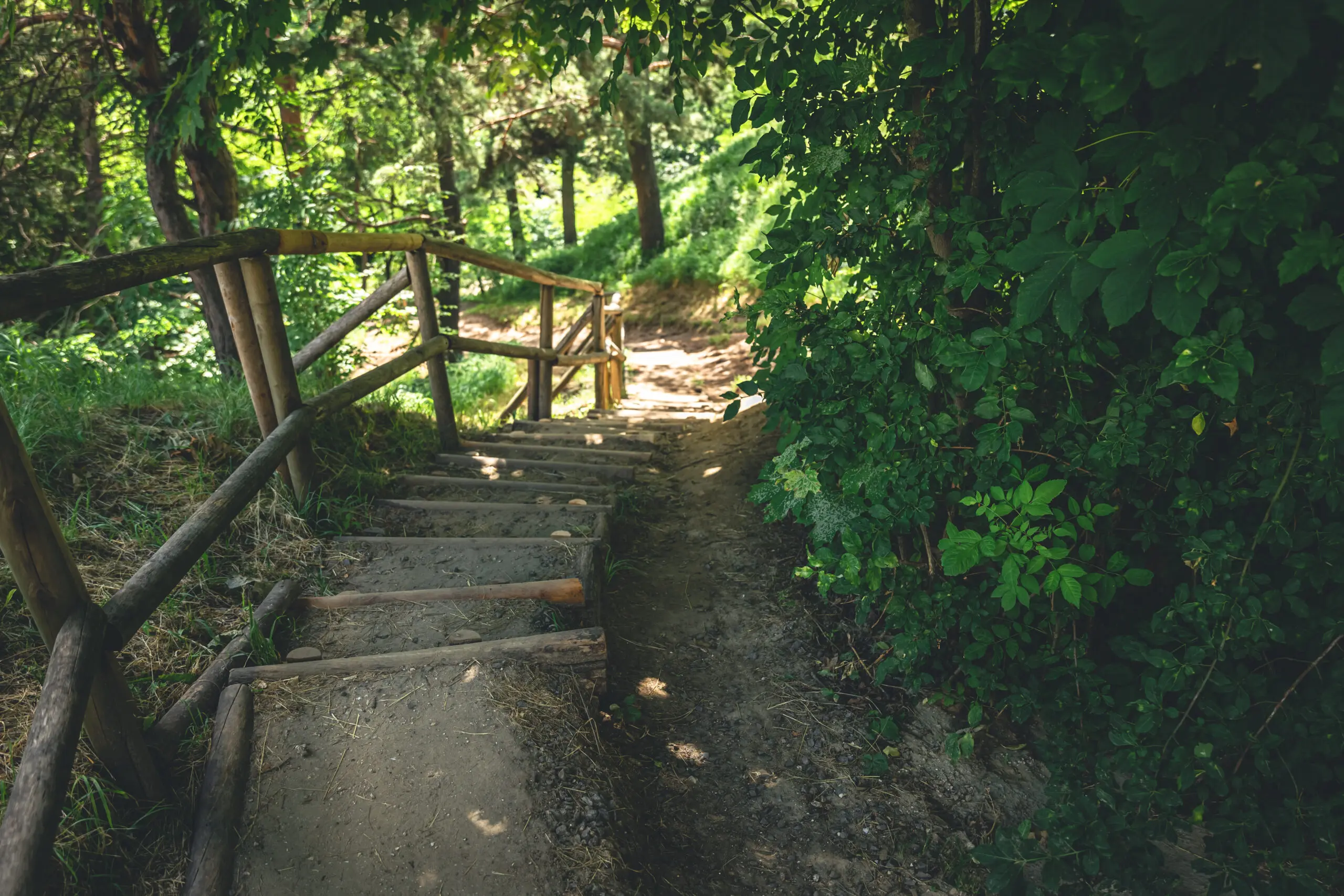 Parque Arví: Cómo Llegar en Carro desde Medellín y Qué Hacer - Alquiler de Autos Medellín